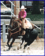 cowhorse.gif