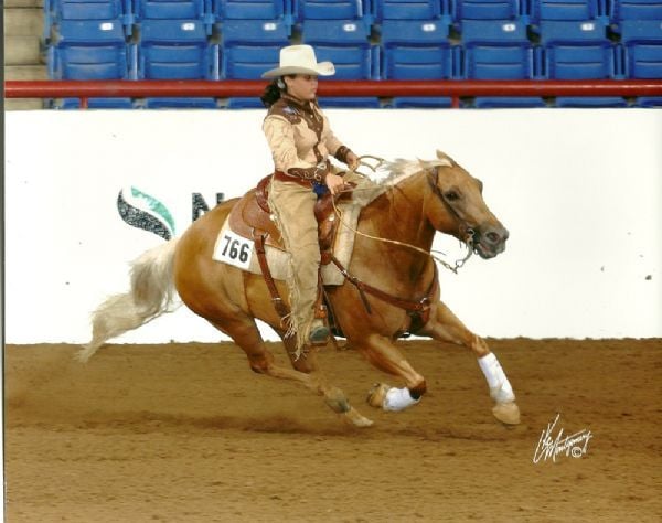 Quarter Horses for Sale, Paint Horses, Reining Horses for ... Quarter Horses for Sale, Paint Horses, Reining Horses for ...