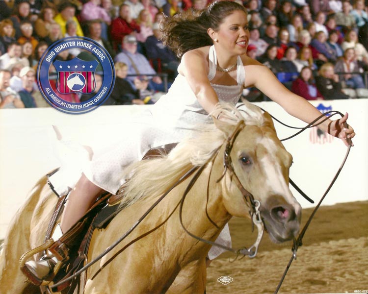 Quarter Horses for Sale, Paint Horses, Reining Horses for sale at