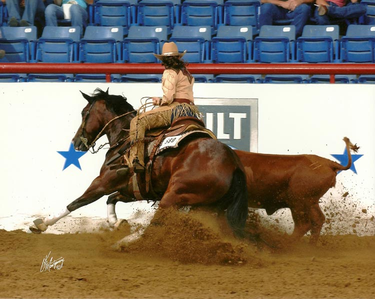 Quarter Horses for Sale, Paint Horses, Reining Horses for sale at