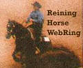 reiningring.jpg