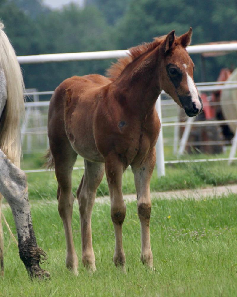 Freeway James